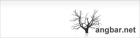 AngBar.net